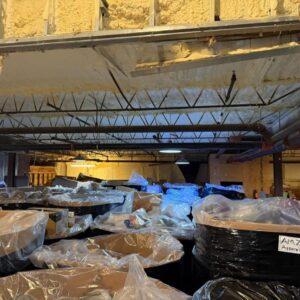 Buy Mixed Clothing Pallets 200-250 pieces– Bulk Wholesale Apparel for Resellers - Image 6