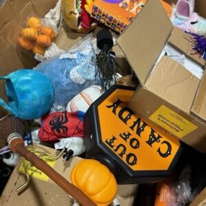 Wholesale Halloween Closeouts pallets